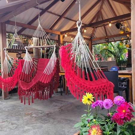 Hostal Hilltop Σαλέντο Εξωτερικό φωτογραφία